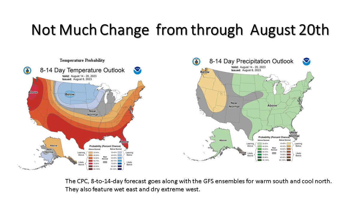 Cool and Wet over Lower Michigan into mid August.  Warmer temperatures are expected late in the&nbsp;month.